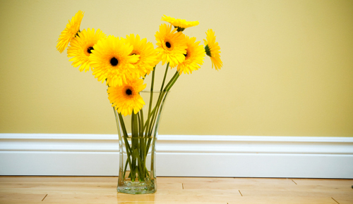 clutter buster yellow flowers feature